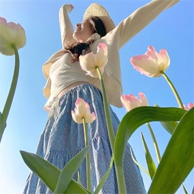 顽皮豹之怀念探长